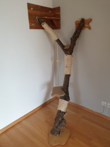Kratzbaum - Nuss mit 3 Ebenen